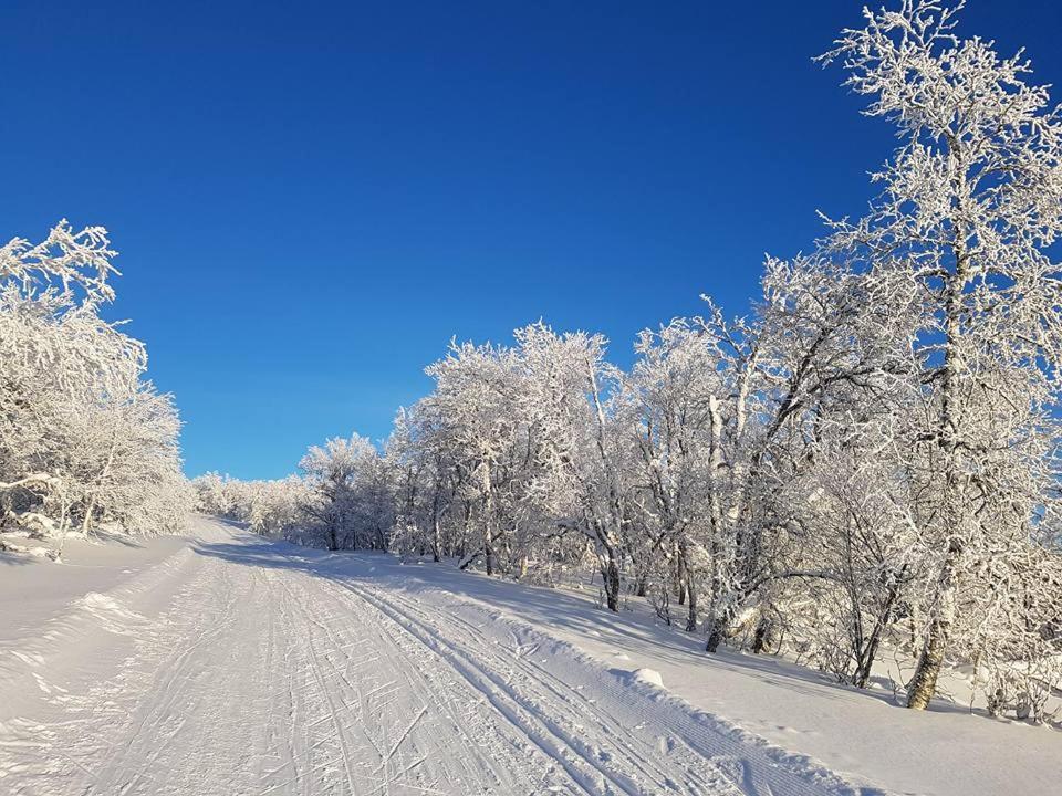 Bruksvallarna - Modern Fjaellstuga Med Panoramautsikt Och Wifi Exteriér fotografie
