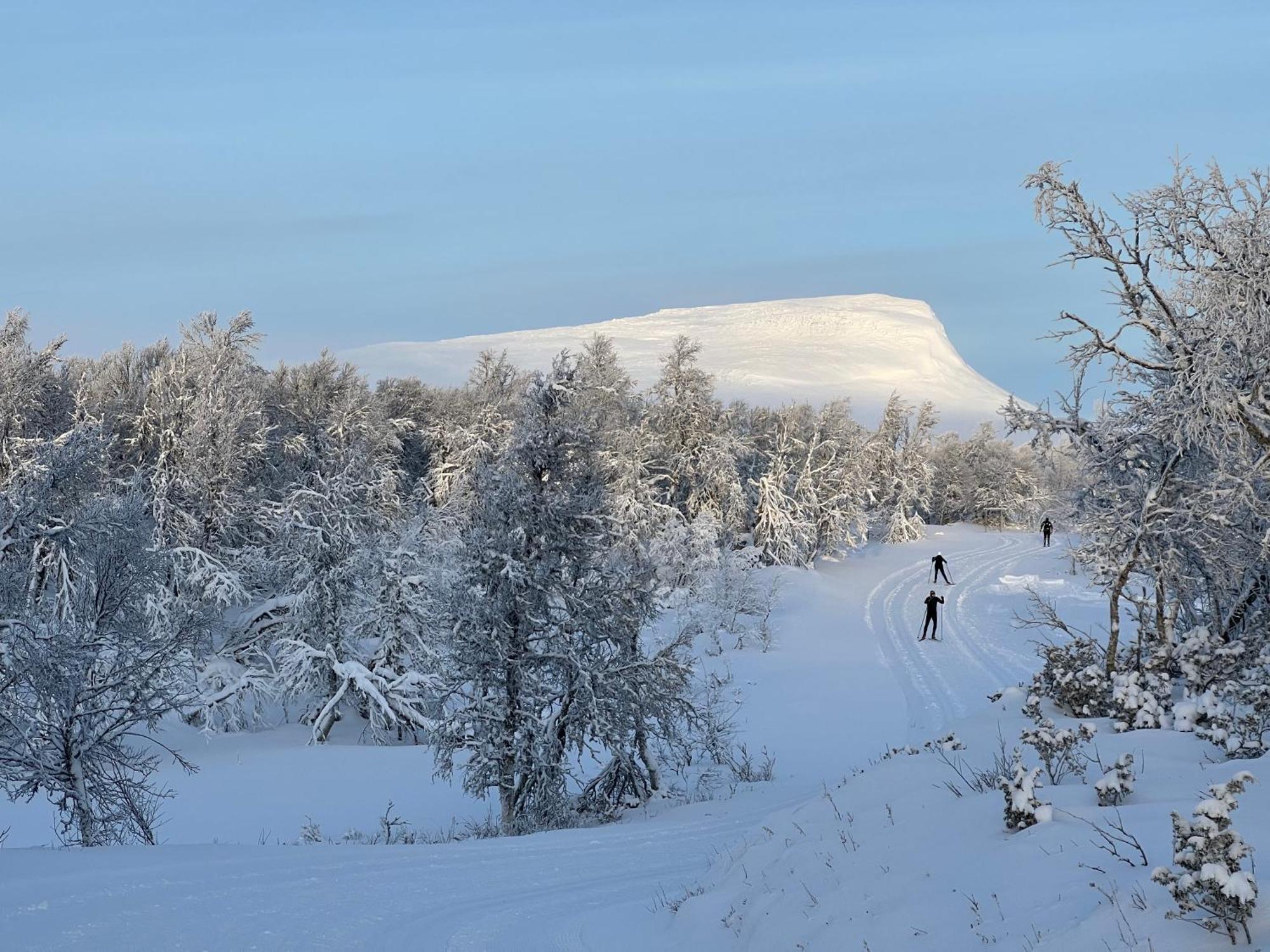 Bruksvallarna - Modern Fjaellstuga Med Panoramautsikt Och Wifi Exteriér fotografie